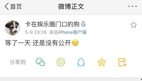 娱乐吃瓜爆料营销号,揭秘明星背后的那些事儿